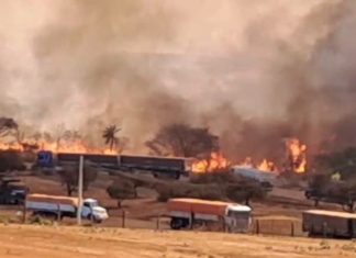 Incêndio na Área Industrial de Uberlândia Devasta Vegetação e Libera Fumaça nas Proximidades Incêndio na Área Industrial de Uberlândia Devasta Vegetação e Libera Fumaça nas Proximidades