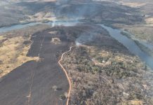 Incêndio no Pau Furado Consume Área Equivalente a 91 Campos de Futebol Incêndio no Pau Furado Consume Área Equivalente a 91 Campos de Futebol