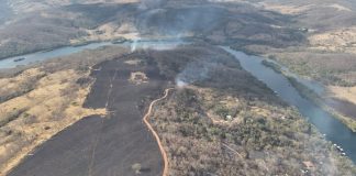 Incêndio no Pau Furado Consume Área Equivalente a 91 Campos de Futebol Incêndio no Pau Furado Consume Área Equivalente a 91 Campos de Futebol