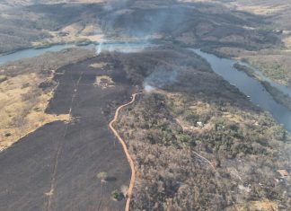 Incêndio no Pau Furado Consume Área Equivalente a 91 Campos de Futebol Incêndio no Pau Furado Consume Área Equivalente a 91 Campos de Futebol