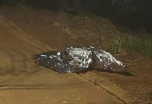 Jovem é assassinado a facadas no bairro Jaraguá, em Uberlândia Jovem é assassinado a facadas no bairro Jaraguá, em Uberlândia