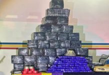 Polícia Confisca 700 kg de Maconha em Operação em Araguari Polícia Confisca 700 kg de Maconha em Operação em Araguari