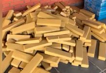 Polícia Militar Confisca 1,3 Tonelada de Maconha em Grande Operação Polícia Militar Confisca 1,3 Tonelada de Maconha em Grande Operação
