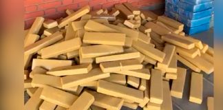 Polícia Militar Confisca 1,3 Tonelada de Maconha em Grande Operação Polícia Militar Confisca 1,3 Tonelada de Maconha em Grande Operação