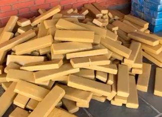 Polícia Militar Confisca 1,3 Tonelada de Maconha em Grande Operação Polícia Militar Confisca 1,3 Tonelada de Maconha em Grande Operação