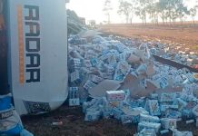 Rodotrem de cervejas tomba na MGC-497, em Iturama; felizmente, sem vítimas Rodotrem de cervejas tomba na MGC-497, em Iturama; felizmente, sem vítimas