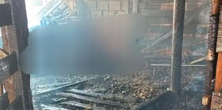 Cavalos são vítimas de incêndio devastador em Araguari Cavalos são vítimas de incêndio devastador em Araguari