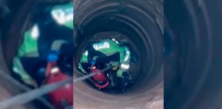 Cachorro é Resgatado Após Cair em Cisterna de 12 Metros em Patos de Minas Cachorro é Resgatado Após Cair em Cisterna de 12 Metros em Patos de Minas