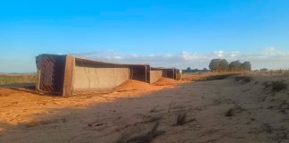 Caminhão de Soja Tomba na BR-146 e Motorista Fica Ferido em Serra do Salitre Caminhão de Soja Tomba na BR-146 e Motorista Fica Ferido em Serra do Salitre