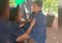 Criança Sofre 1.500 Picadas de Abelhas em Catalão e É Transferida em Estado Crítico para Uberlândia Criança Sofre 1.500 Picadas de Abelhas em Catalão e É Transferida em Estado Crítico para Uberlândia