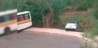 Enxame de abelhas ataca senhoras após colisão em Minas Gerais Enxame de abelhas ataca senhoras após colisão em Minas Gerais