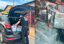 Falso Veterinário Preso por Tentativa de Chantagem a Autoridades Falso Veterinário Preso por Tentativa de Chantagem a Autoridades