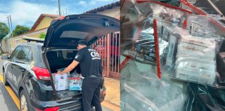 Falso Veterinário Preso por Tentativa de Chantagem a Autoridades Falso Veterinário Preso por Tentativa de Chantagem a Autoridades