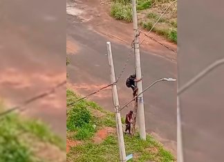 Moradores de Uberlândia Capturam Dupla em Ação com Escada Tentando Roubar Fios Moradores de Uberlândia Capturam Dupla em Ação com Escada Tentando Roubar Fios