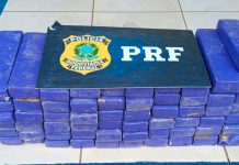 Motorista Detido com 52 kg de Maconha na BR-050 em Uberlândia Motorista Detido com 52 kg de Maconha na BR-050 em Uberlândia