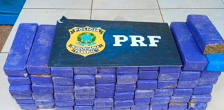 Motorista Detido com 52 kg de Maconha na BR-050 em Uberlândia Motorista Detido com 52 kg de Maconha na BR-050 em Uberlândia