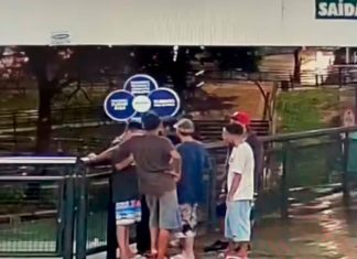 Polícia Militar Desmantela ‘Gangue do Escadão’ Após Assalto em Terminal Polícia Militar Desmantela 'Gangue do Escadão' Após Assalto em Terminal