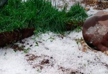 Tempestade de Granizo Causa Danos Severos em Campo Florido Tempestade de Granizo Causa Danos Severos em Campo Florido