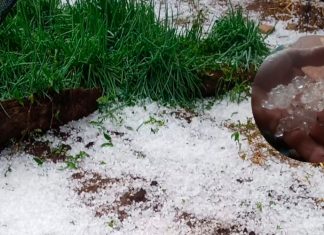 Tempestade de Granizo Causa Danos Severos em Campo Florido Tempestade de Granizo Causa Danos Severos em Campo Florido
