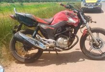 Acidente Fatal na BR-354 em MG: Dois Motociclistas Perdem a Vida Acidente Fatal na BR-354 em MG: Dois Motociclistas Perdem a Vida