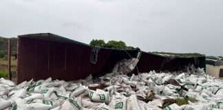 Acidente na MGC-497: carreta com ração de peixe capota após falha mecânica Acidente na MGC-497: carreta com ração de peixe capota após falha mecânica