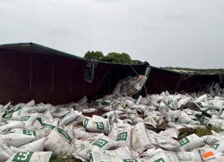 Acidente na MGC-497: carreta com ração de peixe capota após falha mecânica Acidente na MGC-497: carreta com ração de peixe capota após falha mecânica