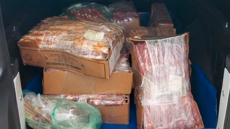 Blitz em Uberaba Apreende 1,8 Mil Espetinhos de Carne sem Refrigeração