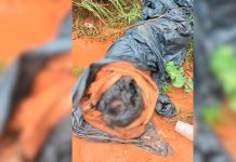 Corpo é Descoberto na Zona Rural de Uberlândia, Perto da IFTM Corpo é Descoberto na Zona Rural de Uberlândia, Perto da IFTM