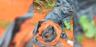 Corpo é Descoberto na Zona Rural de Uberlândia, Perto da IFTM Corpo é Descoberto na Zona Rural de Uberlândia, Perto da IFTM