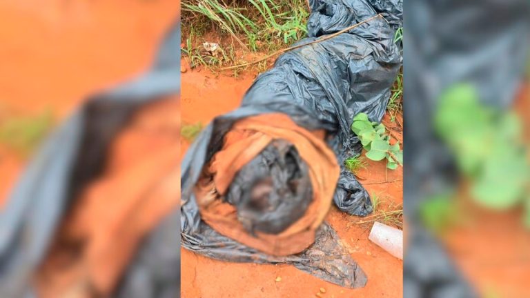 Corpo é Descoberto na Zona Rural de Uberlândia, Perto da IFTM