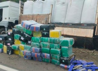 Duas Toneladas de Maconha São Encontradas Após Acidente na BR-365 Duas Toneladas de Maconha São Encontradas Após Acidente na BR-365