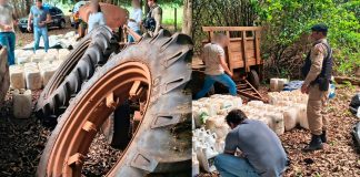 Furto em fazenda de Uberaba: polícia age rápido e recupera carga com prisões Furto em fazenda de Uberaba: polícia age rápido e recupera carga com prisões