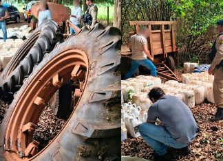 Furto em fazenda de Uberaba: polícia age rápido e recupera carga com prisões Furto em fazenda de Uberaba: polícia age rápido e recupera carga com prisões