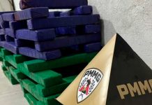Homem é flagrado pela PM ao tentar enterrar quase 60 kg de maconha Homem é flagrado pela PM ao tentar enterrar quase 60 kg de maconha