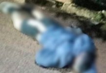 Jovem de 28 Anos é Brutalmente Morto a Tiros e Facão em Prata Jovem de 28 Anos é Brutalmente Morto a Tiros e Facão em Prata