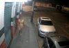 Noite de Natal em Uberlândia: Homem Nu É Flagado Andando pelas Ruas Noite de Natal em Uberlândia: Homem Nu É Flagado Andando pelas Ruas