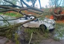 Patrocínio Enfrenta Tempestade: Danos e Uma Vítima na MG-230 Patrocínio Enfrenta Tempestade: Danos e Uma Vítima na MG-230