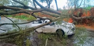 Patrocínio Enfrenta Tempestade: Danos e Uma Vítima na MG-230 Patrocínio Enfrenta Tempestade: Danos e Uma Vítima na MG-230