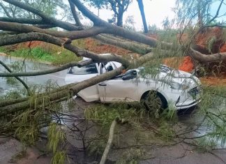 Patrocínio Enfrenta Tempestade: Danos e Uma Vítima na MG-230 Patrocínio Enfrenta Tempestade: Danos e Uma Vítima na MG-230