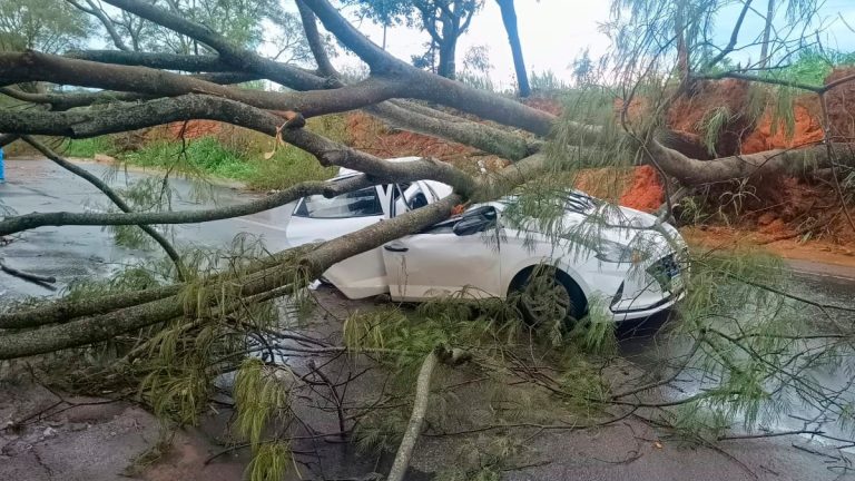 Patrocínio Enfrenta Tempestade: Danos e Uma Vítima na MG-230