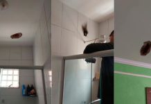 Raio Causa Estragos em Casa no Canaã Durante Chuva Intensa Raio Causa Estragos em Casa no Canaã Durante Chuva Intensa