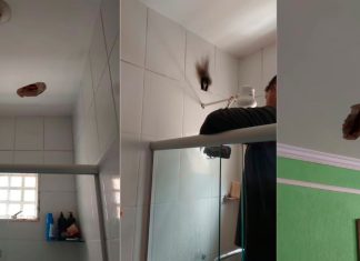 Raio Causa Estragos em Casa no Canaã Durante Chuva Intensa Raio Causa Estragos em Casa no Canaã Durante Chuva Intensa