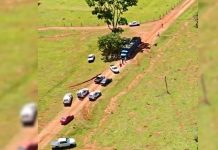Tentativa de Furto: 31 Cabeças de Gado em Fazenda de Uberlândia Tentativa de Furto: 31 Cabeças de Gado em Fazenda de Uberlândia