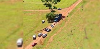 Tentativa de Furto: 31 Cabeças de Gado em Fazenda de Uberlândia Tentativa de Furto: 31 Cabeças de Gado em Fazenda de Uberlândia