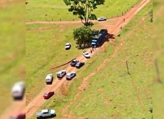 Tentativa de Furto: 31 Cabeças de Gado em Fazenda de Uberlândia Tentativa de Furto: 31 Cabeças de Gado em Fazenda de Uberlândia