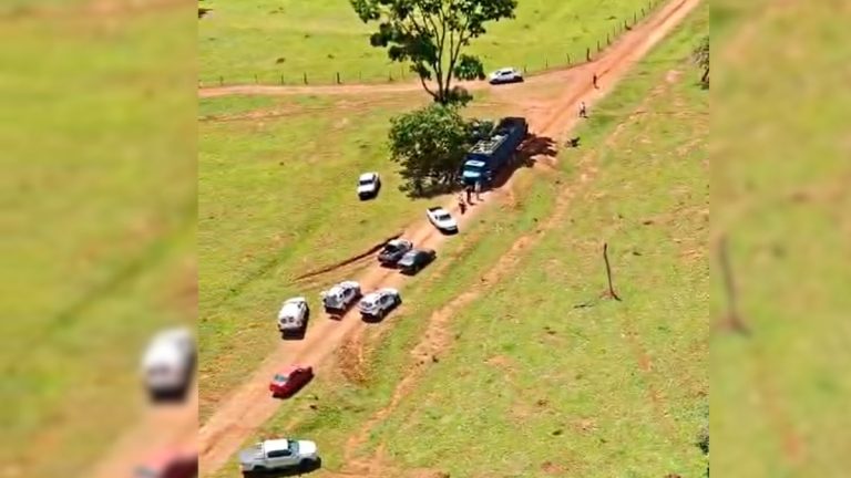 Tentativa de Furto: 31 Cabeças de Gado em Fazenda de Uberlândia