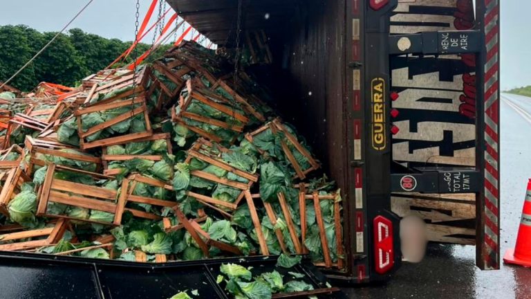 Carreta tombada na BR-146 com repolhos espalhados