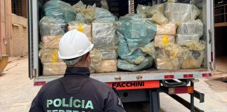 Minas Gerais Destrói Quase 8 Toneladas de Drogas em Grande Ação Minas Gerais Destrói Quase 8 Toneladas de Drogas em Grande Ação