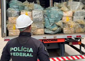 Minas Gerais Destrói Quase 8 Toneladas de Drogas em Grande Ação Minas Gerais Destrói Quase 8 Toneladas de Drogas em Grande Ação