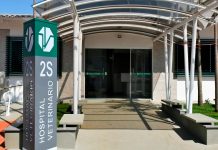 Suspenso Atendimento a Animais Vítimas de Maus-Tratos e Atropelamento pelo HV Suspenso Atendimento a Animais Vítimas de Maus-Tratos e Atropelamento pelo HV